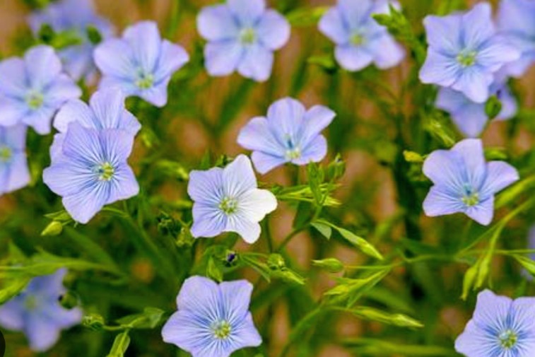 昭和20年代の富良野〜その3　富良野駅の東側